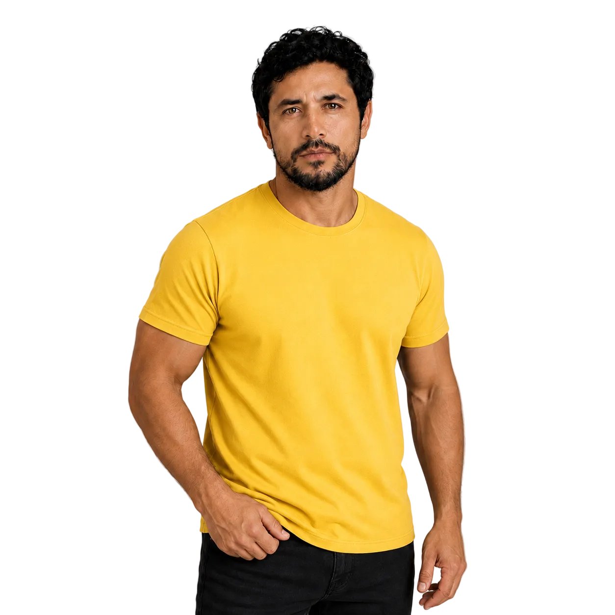 Polera Lisa Premium 100% Algodón Sin Logos Cuello Redondo Manga Corta ideal para uso diario, uniformar y/o estampar